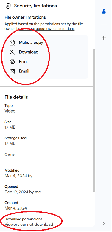 Details for a file forbidden to download from Google Drive