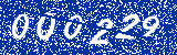 Capcha image